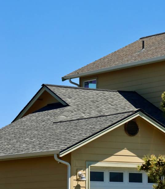 Best Roof Moss and Algae Removal  in Brookfield, MO